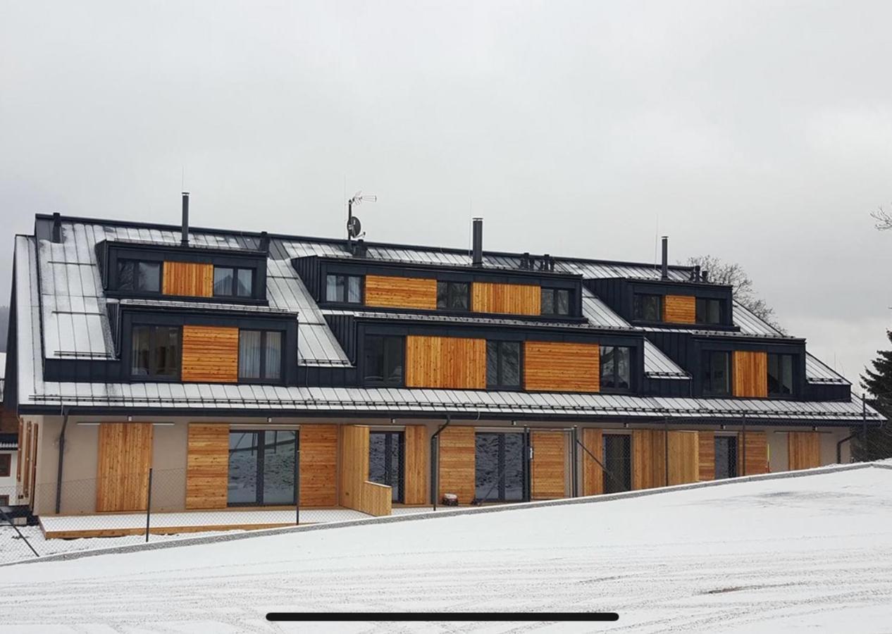 Sport Apartman Dm Dolní Morava エクステリア 写真